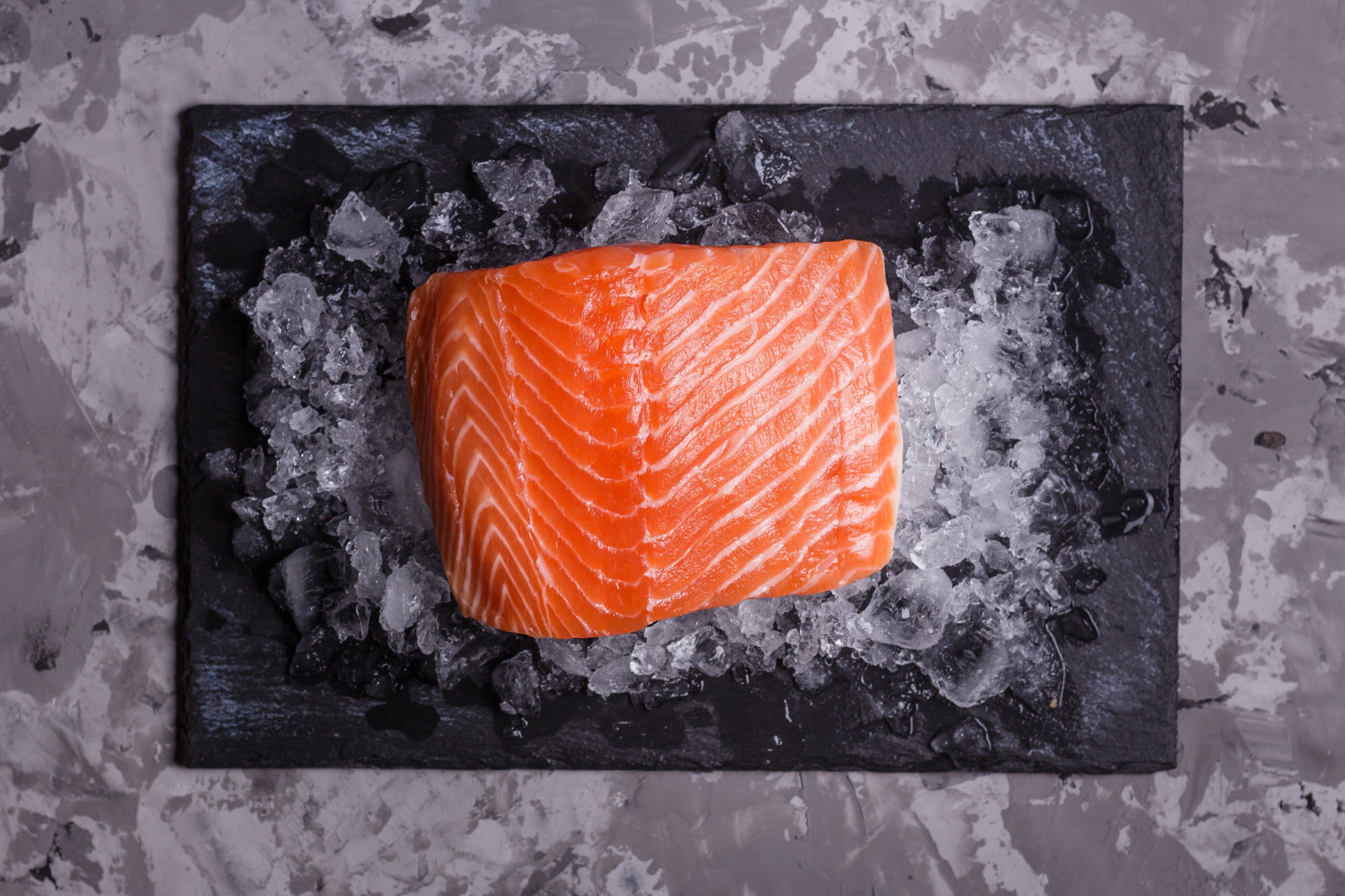 Curated visual reference: Gallery Detail: How To Freeze And Thaw Fish Safely