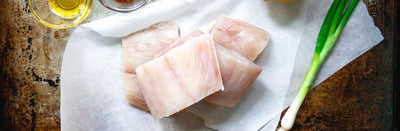Red Snapper Raw Shot Banner Photo
