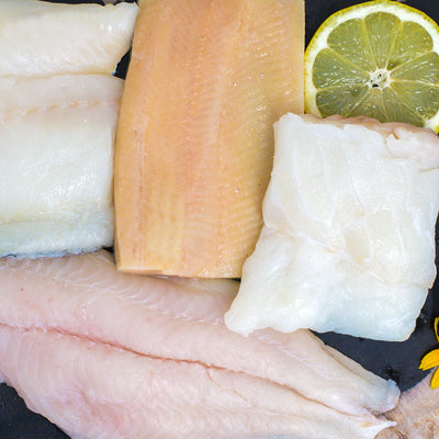 Rainbow Trout Fillet, Frozen Catfish Fillets, North Atlantic Cod and Haddock Sampler
