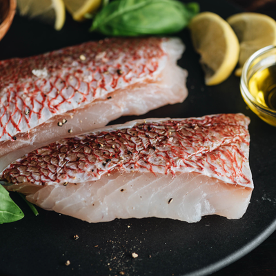 Wild American Red Snapper