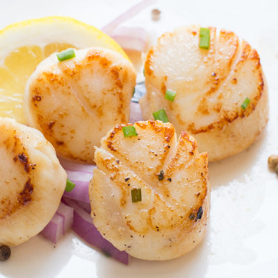 Nantucket Sea Scallops