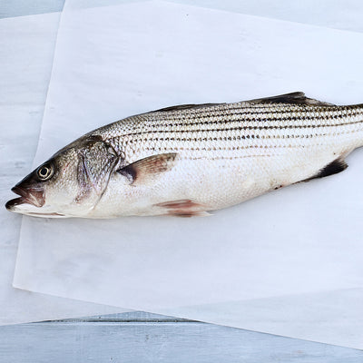 Whole Rockfish (Striped Bass)